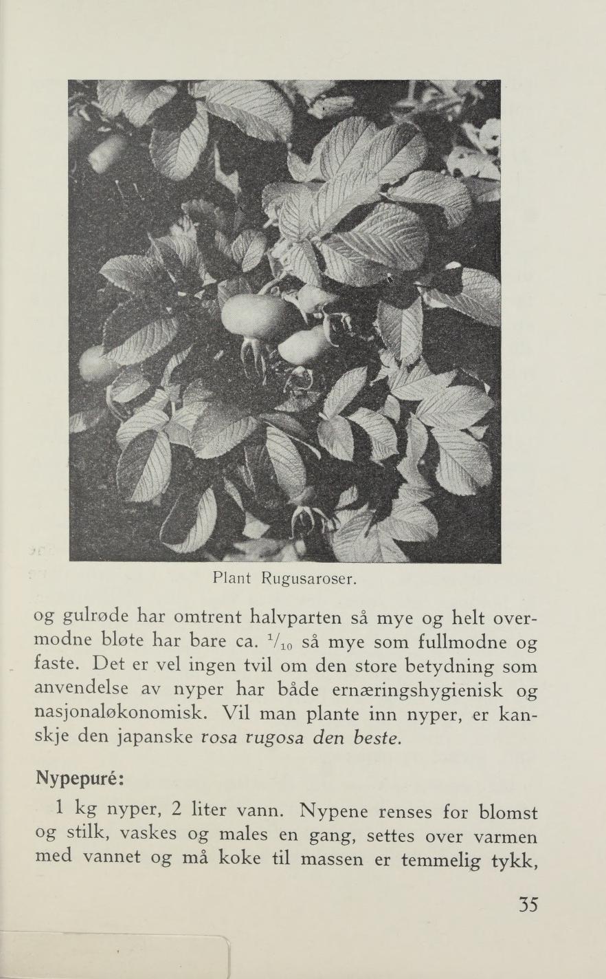 Faksimile av «Saftkoking» fra Sylting uten sukker 1943